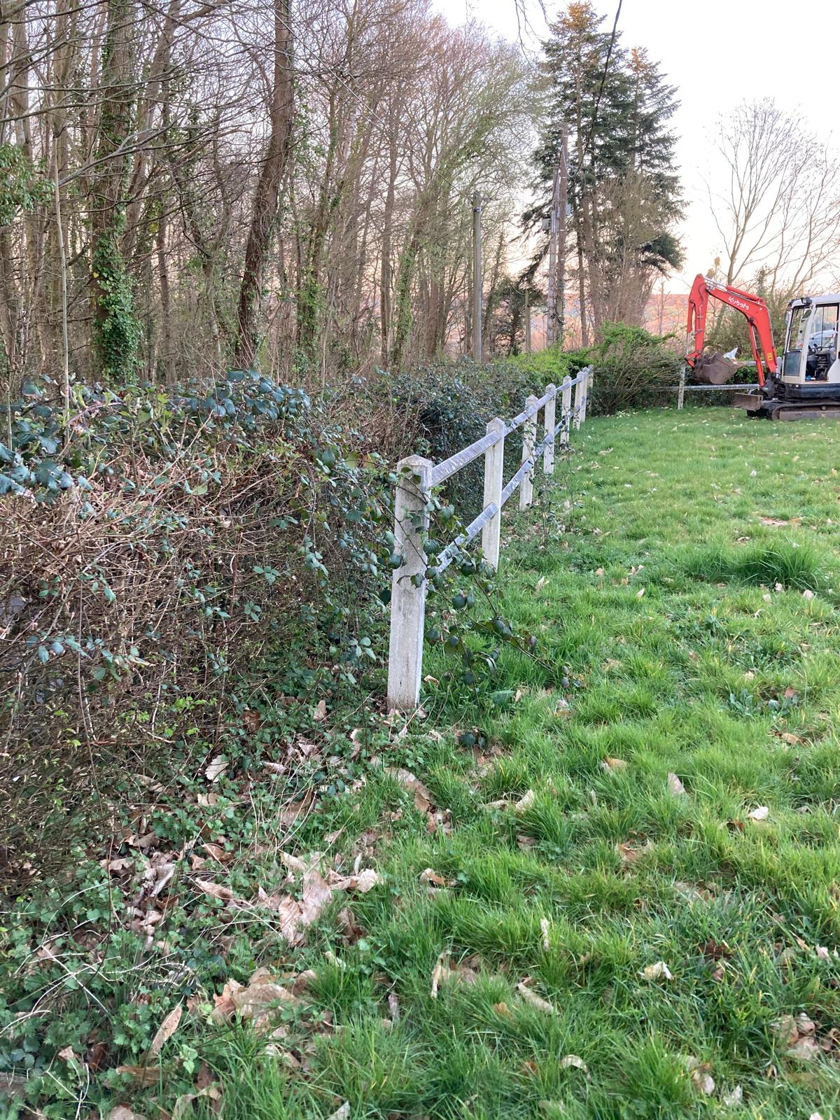 Plantation à Mézidon Vallée d’Auge