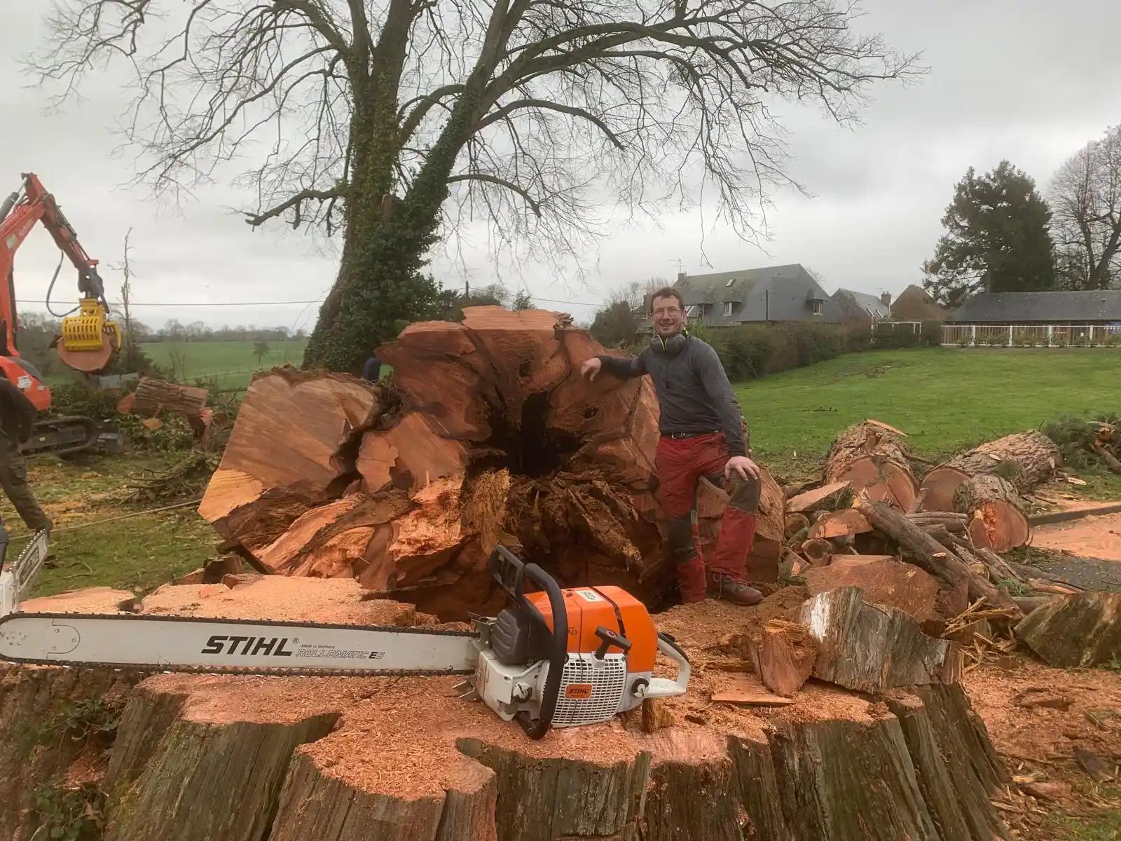 Élagage et Abattage à à Mézidon Vallée d’Auge
