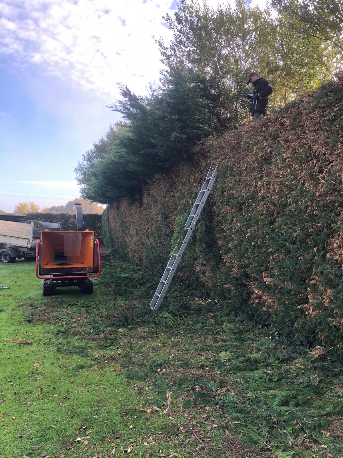 Entretien Paysager à à Mézidon Vallée d’Auge