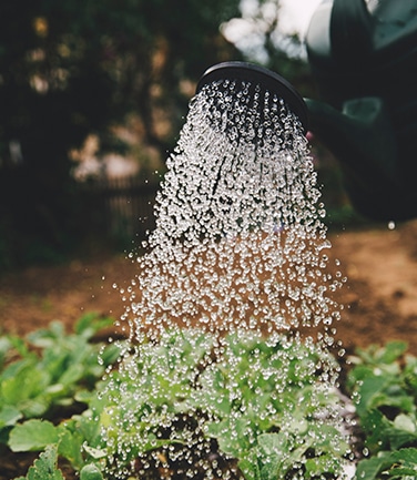 Paysagiste à Mézidon Vallée d'Auge