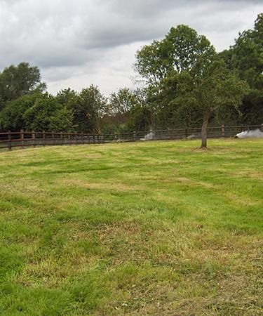 engazonnement à Mézidon Vallée d’Auge